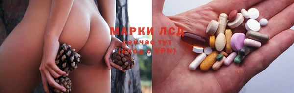 ПСИЛОЦИБИНОВЫЕ ГРИБЫ Алексеевка