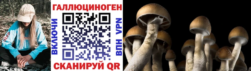 Псилоцибиновые грибы мухоморы мега ссылка Симферополь магазин наркотиков