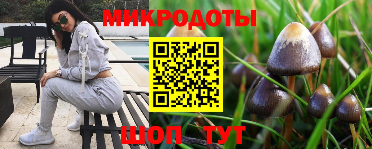 Псилоцибиновые грибы мухоморы  Вход с VPN  Псилоцибиновые грибы Psilocybine cubensis  Симферополь 